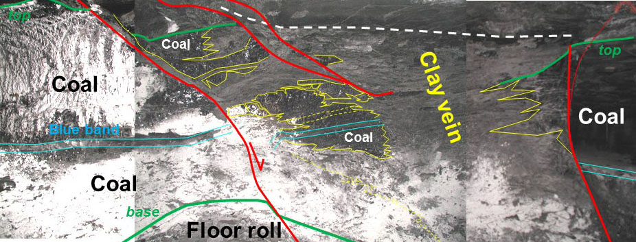 Example of a clay vein complexly interfingering with the coal it cuts (yellow line is irregular margin of the vein). This clay vein is associated with small clay-vein faults (red lines) which offset the Herrin (W. Ky. No. 11) coal bed. Green lines mark the top and base of the coal. Blue lines are the blue-band parting within the Herrin coal.